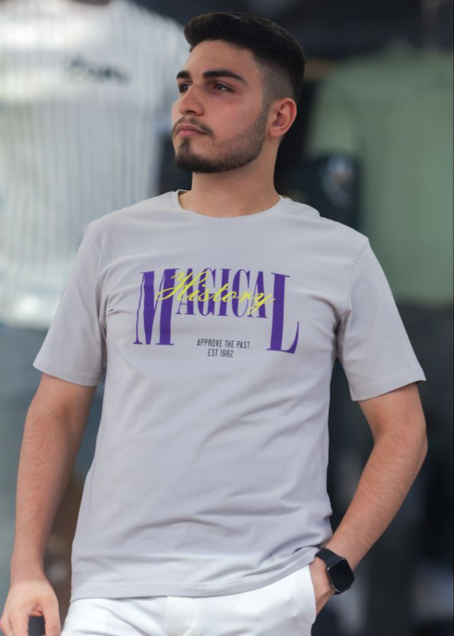 Mens T-Shirt - Modern and Comfortable Design  Code 2300  - gray