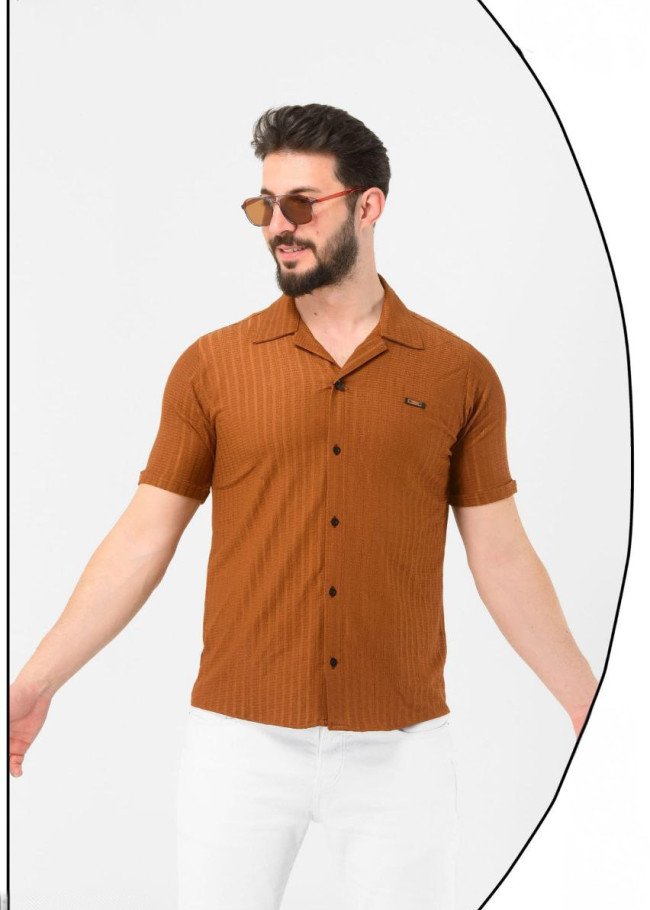 Klasik Erkek Kısa Kollu Gömlek - 2401 - taba